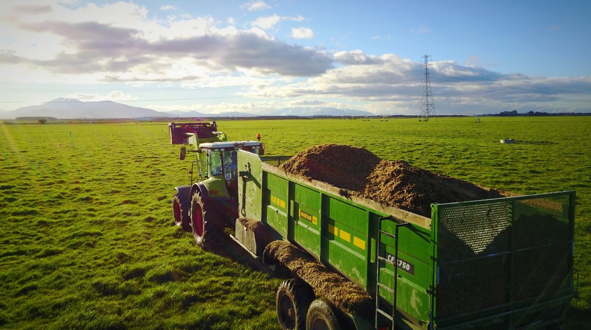 Why Did This Cow Dairy Farm Choose A Centre Feed Silage Wagon